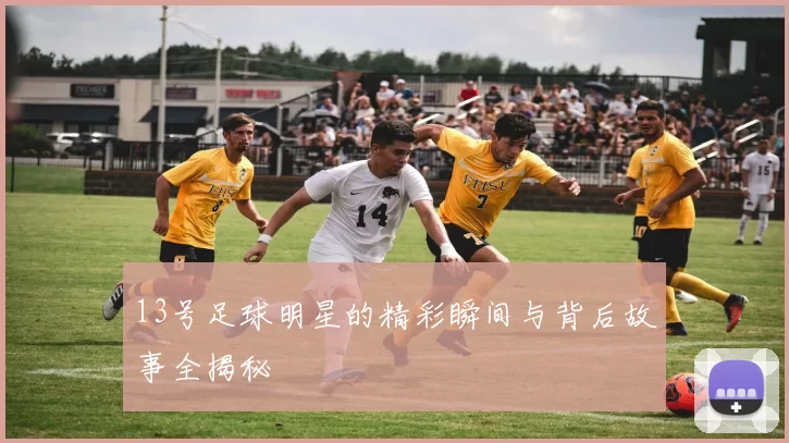 13号足球明星的精彩瞬间与背后故事全揭秘