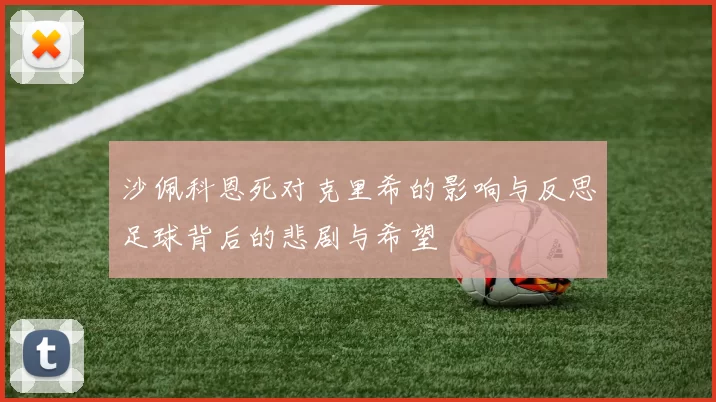 沙佩科恩死对克里希的影响与反思足球背后的悲剧与希望