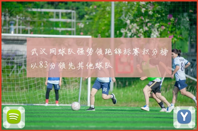 武汉网球队强势领跑锦标赛积分榜以83分领先其他球队