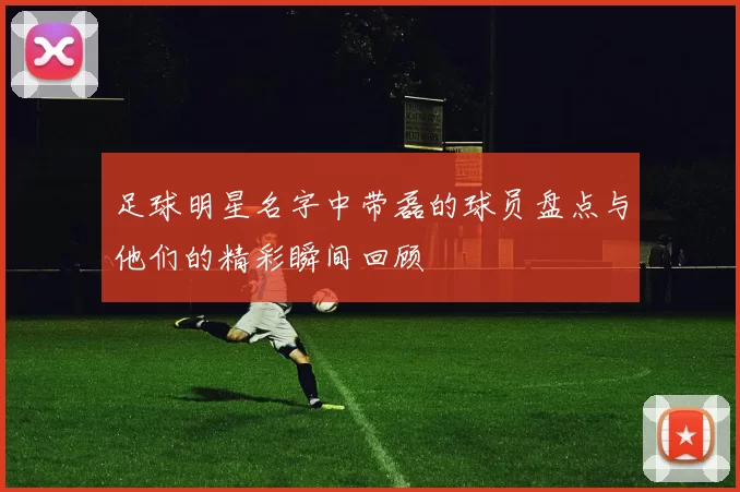 足球明星名字中带磊的球员盘点与他们的精彩瞬间回顾