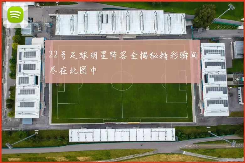 22号足球明星阵容全揭秘精彩瞬间尽在此图中